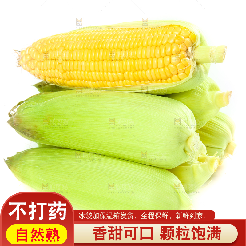 白底上的水果玉米
