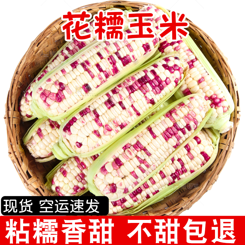 白底上的花糯玉米