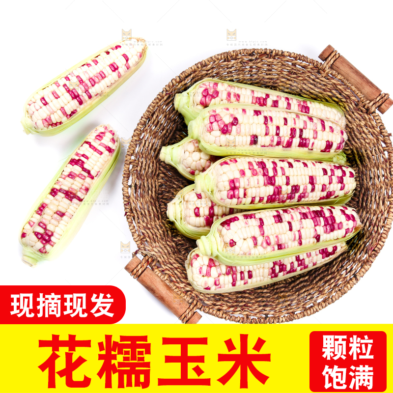 白底上的花糯玉米