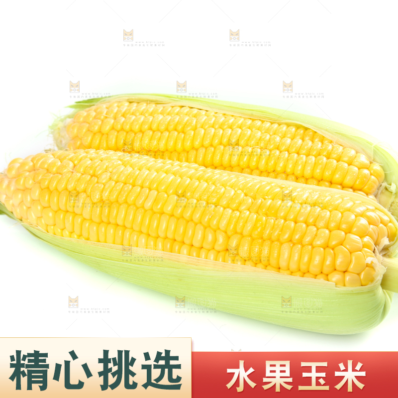 白底上的水果玉米