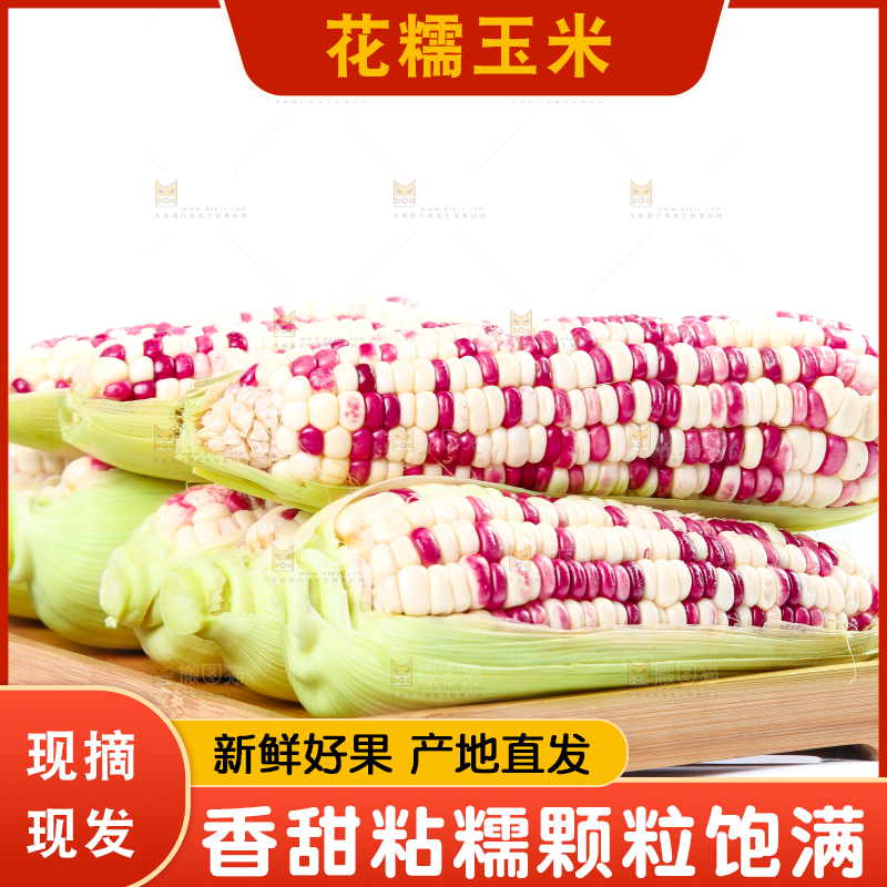白底上的花糯玉米