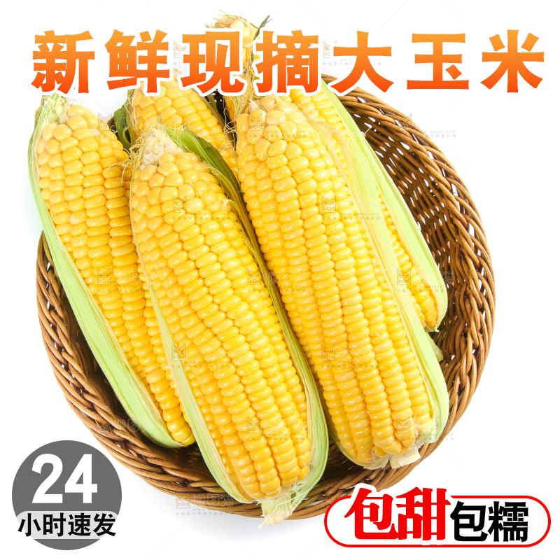 白底上的水果玉米