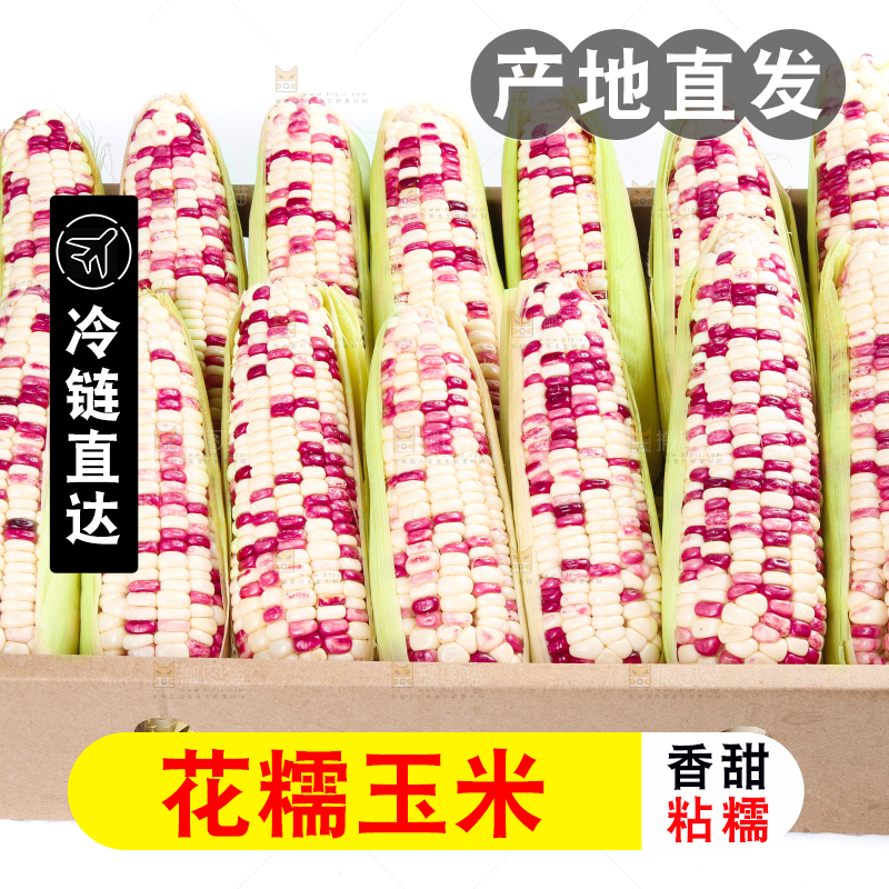 白底上的花糯玉米