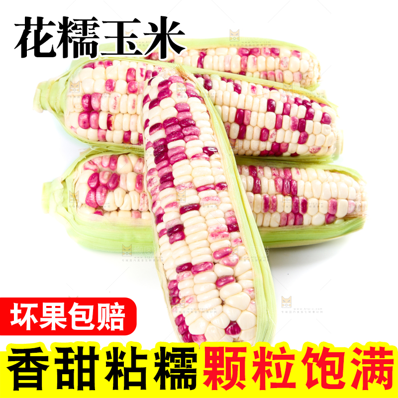 白底上的花糯玉米
