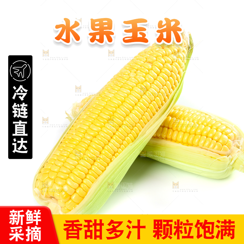 白底上的水果玉米