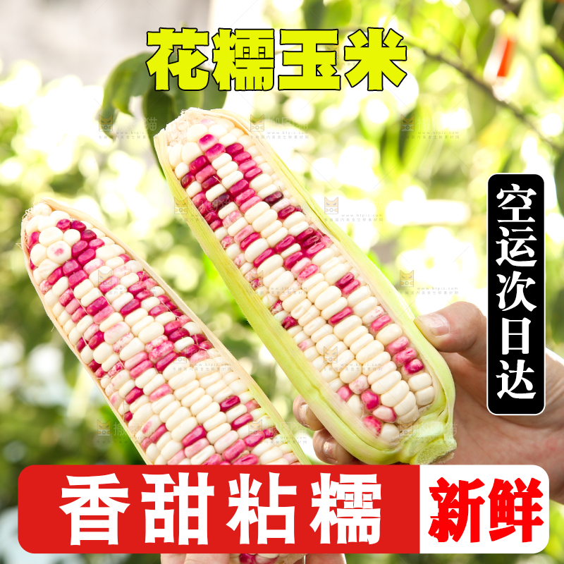 手里拿着花糯玉米