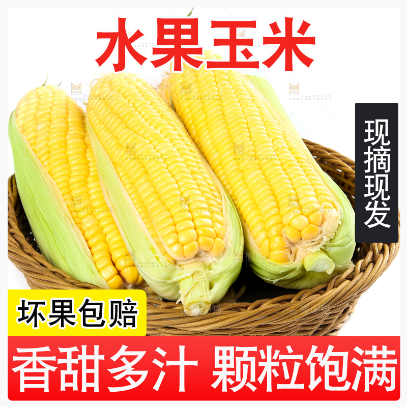 白底上的水果玉米