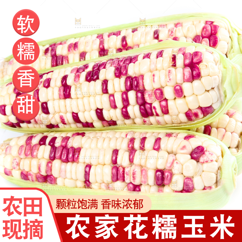 白底上的花糯玉米