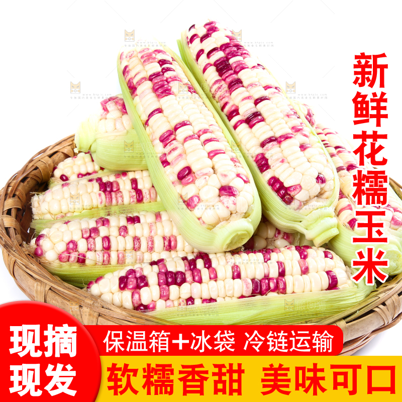 白底上的花糯玉米