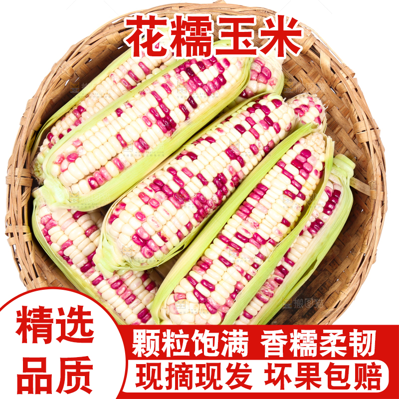 白底上的花糯玉米