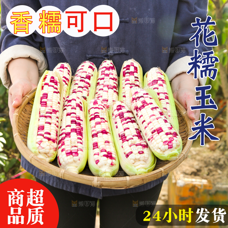 手里拿着花糯玉米