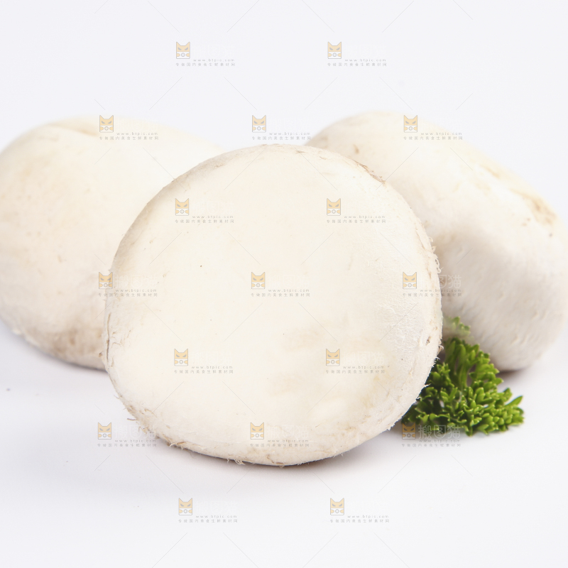 白底上的口蘑