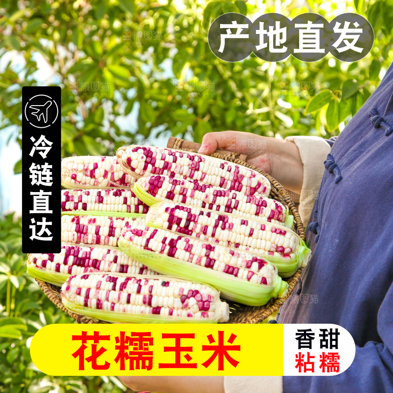 手里拿着花糯玉米