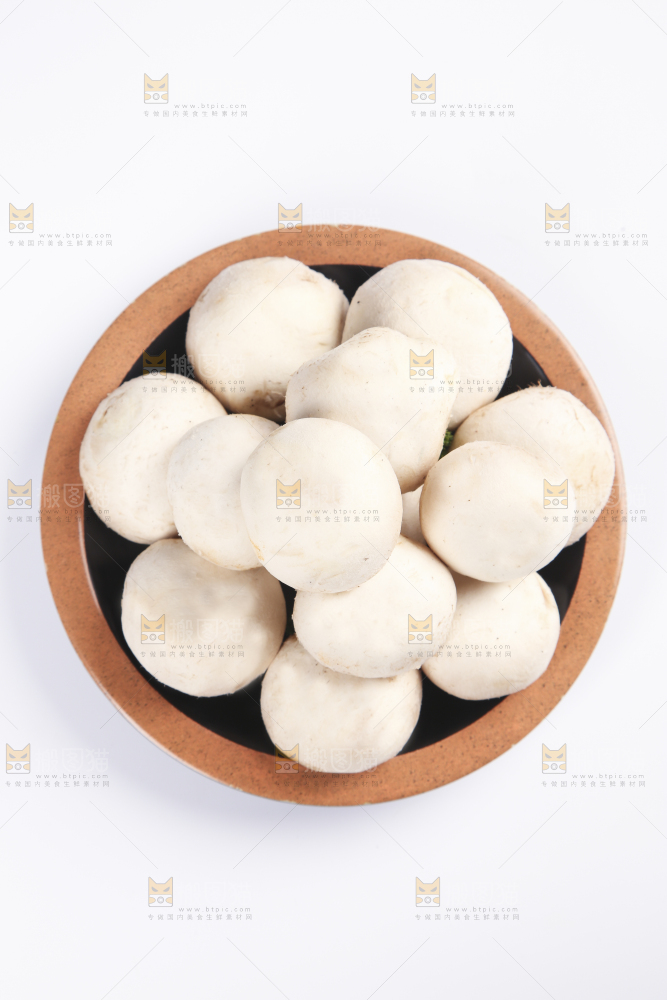 白底上的口蘑