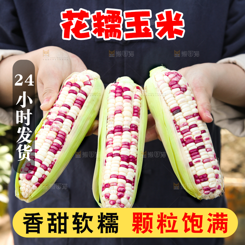 手里拿着花糯玉米