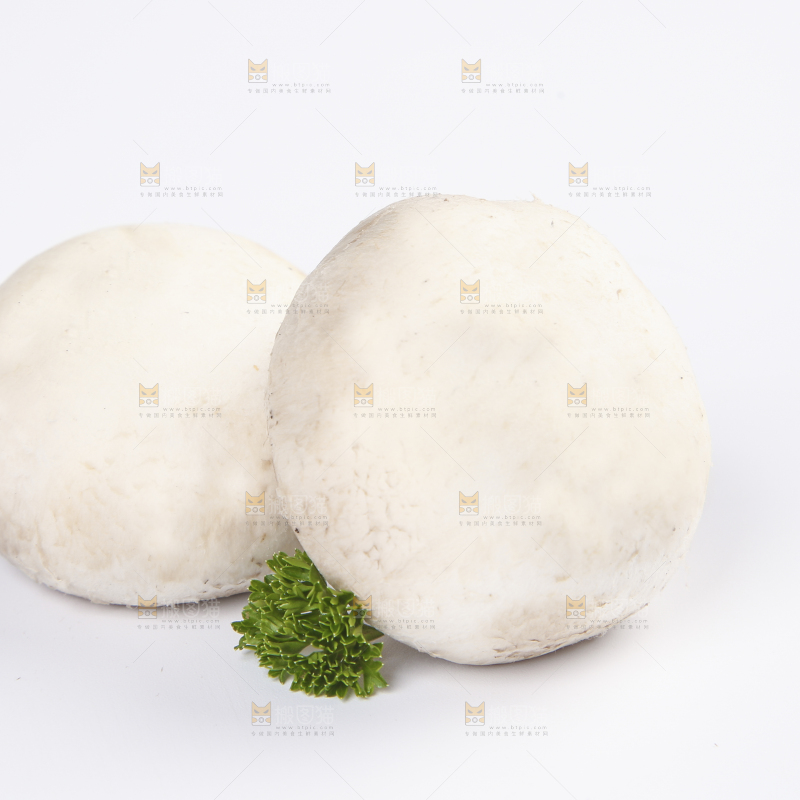 白底上的口蘑