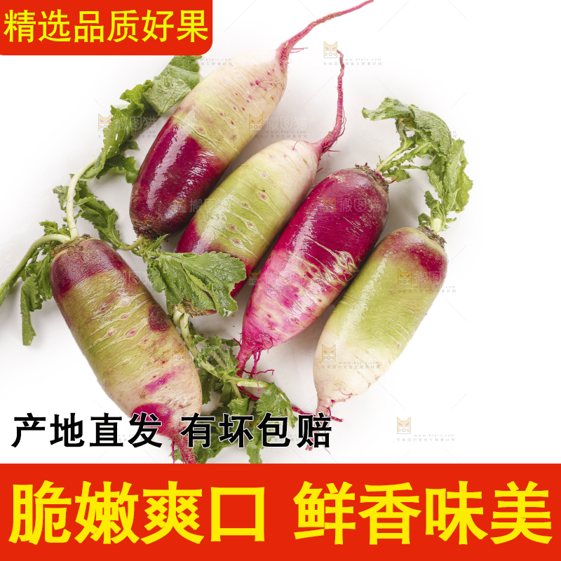 白底上的冰淇淋萝卜