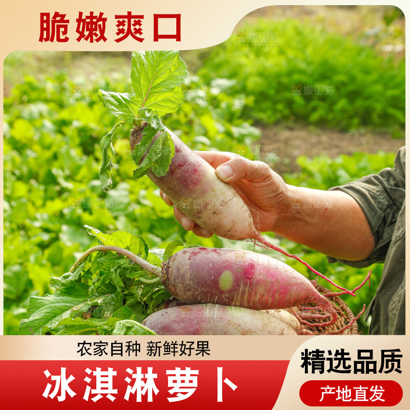 手里拿着冰淇淋萝卜