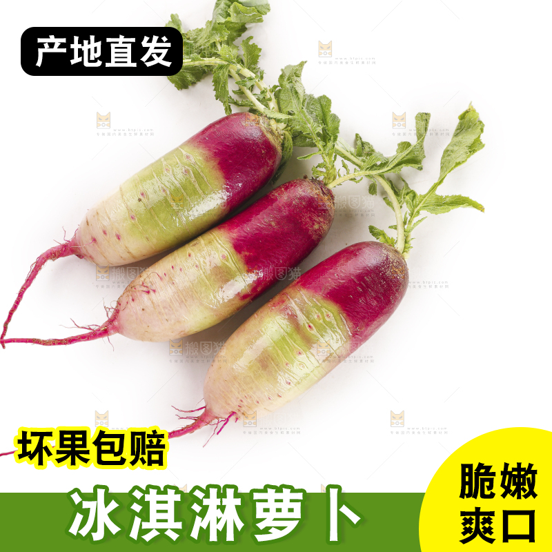 白底上的冰淇淋萝卜