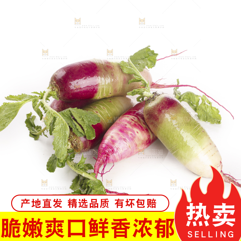 白底上的冰淇淋萝卜