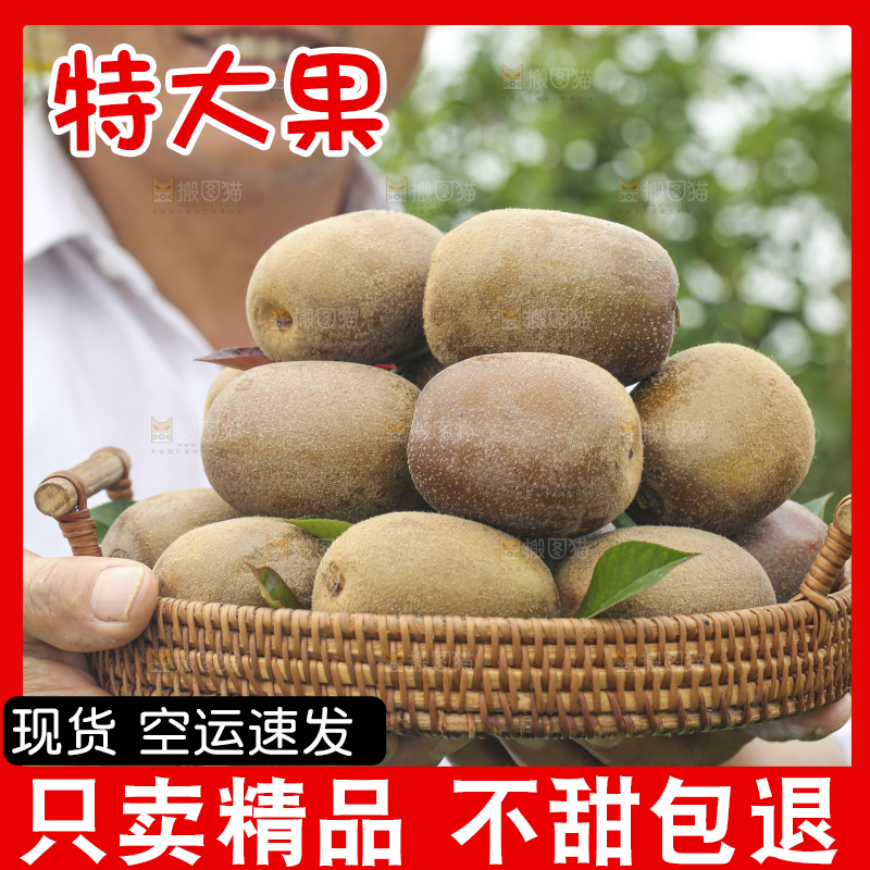 手里拿着新鲜猕猴桃