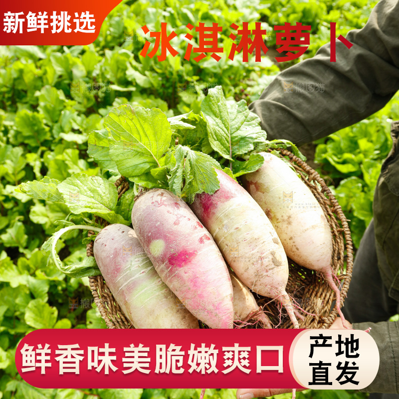 手里拿着冰淇淋萝卜