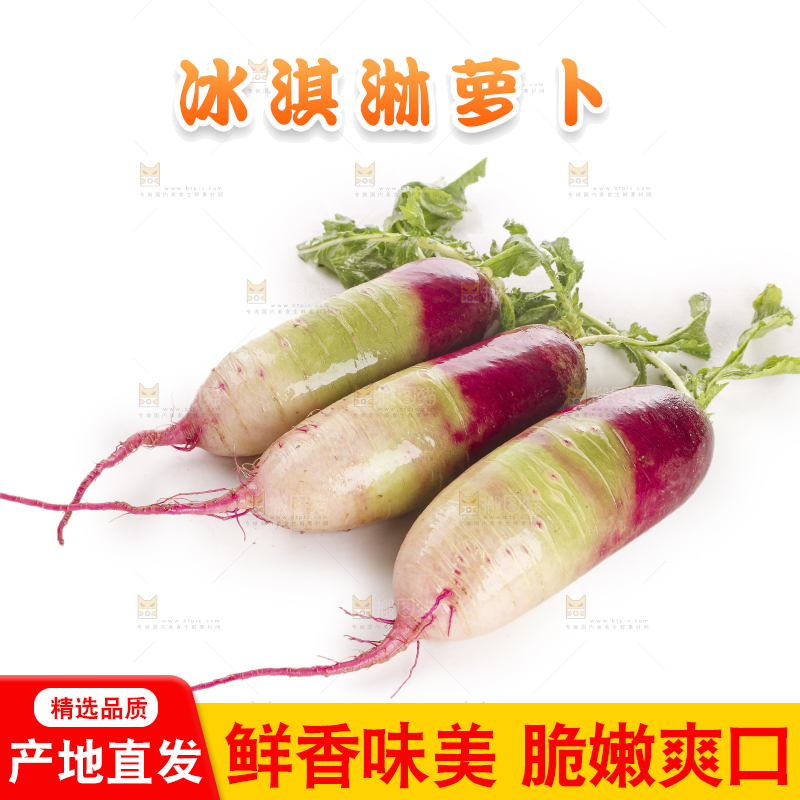 白底上的冰淇淋萝卜