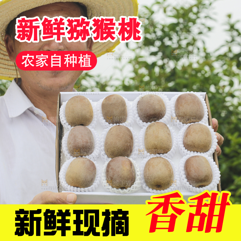 手里拿着新鲜猕猴桃
