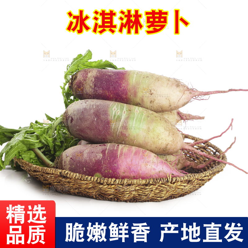 白底上的冰淇淋萝卜