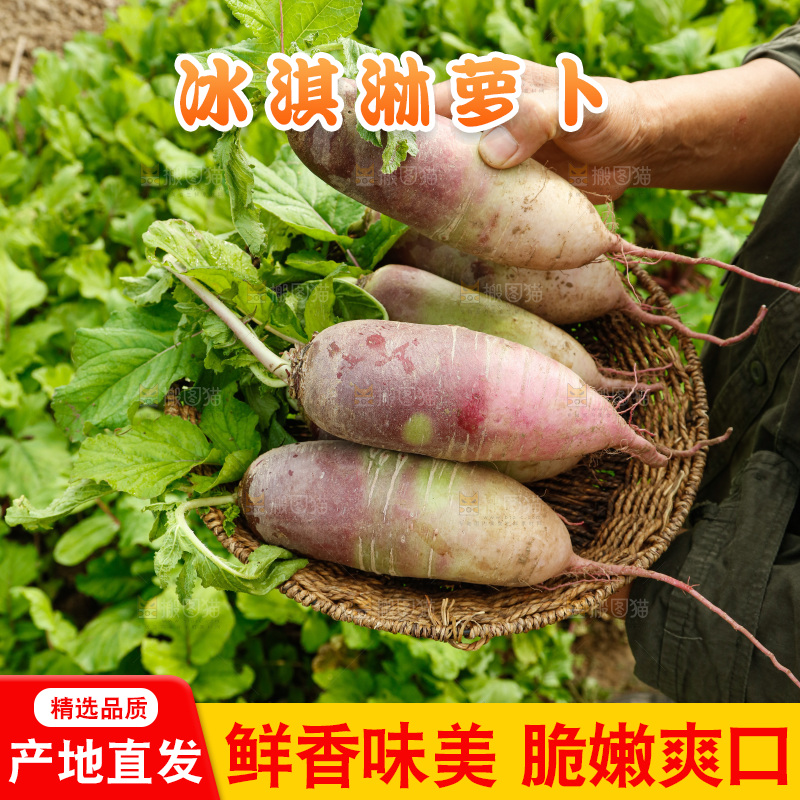手里拿着冰淇淋萝卜