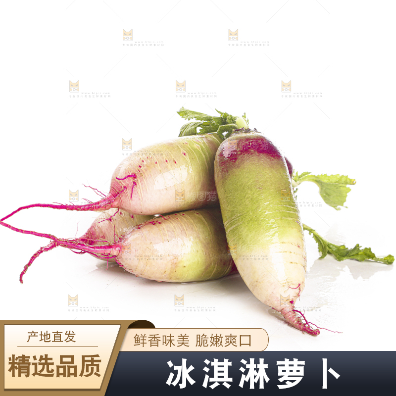 白底上的冰淇淋萝卜