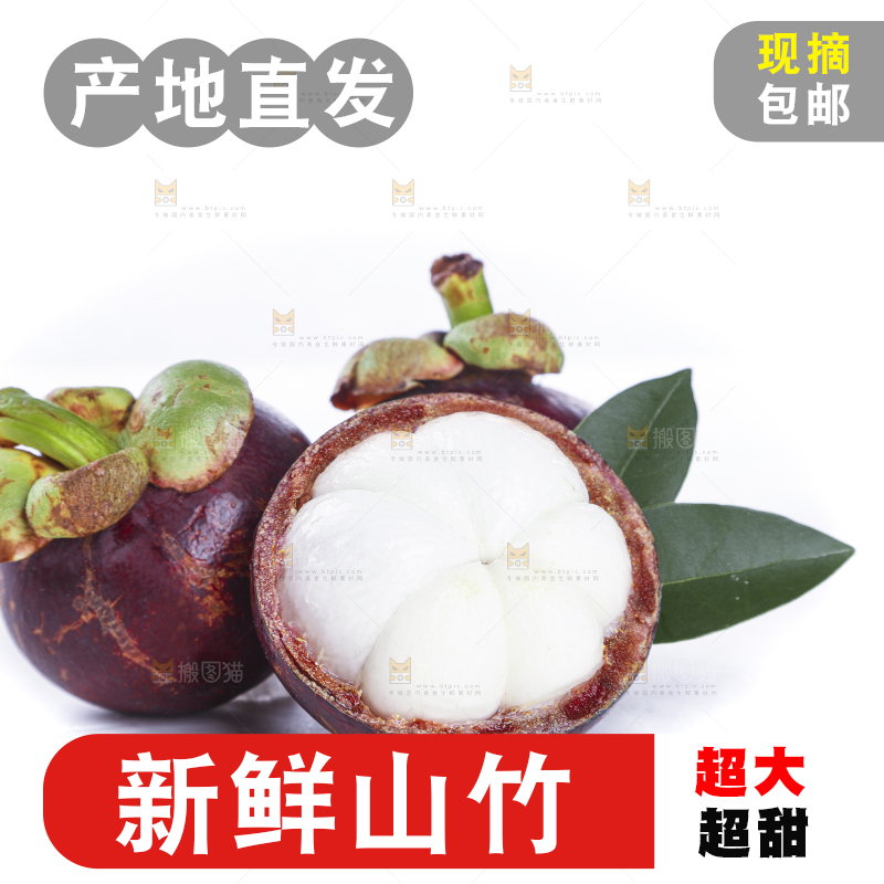 白底上的新鲜山竹