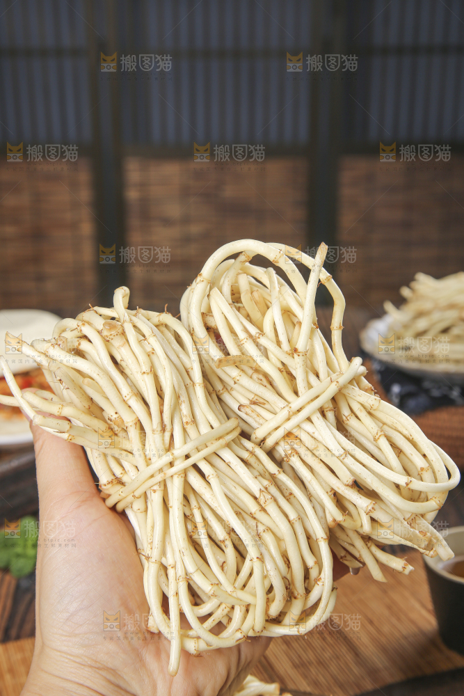 木底上的折耳根