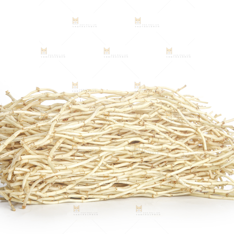 白底上的折耳根