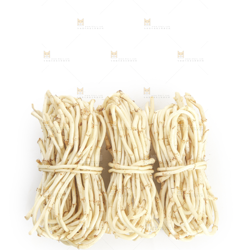 白底上的折耳根