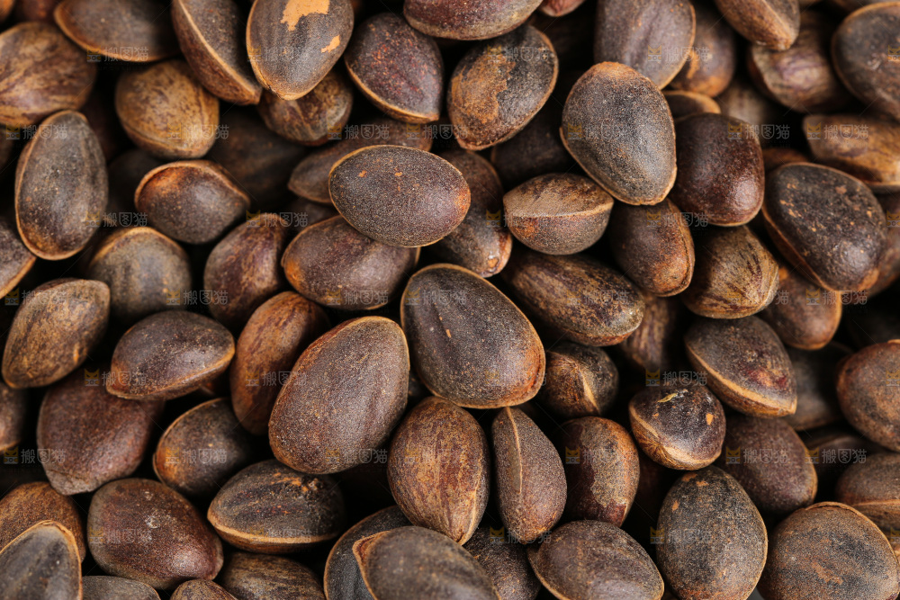 深底上的新鲜松子