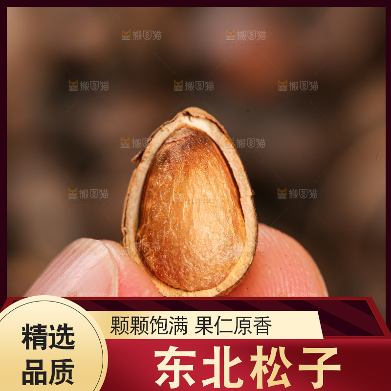 深底上的新鲜松子