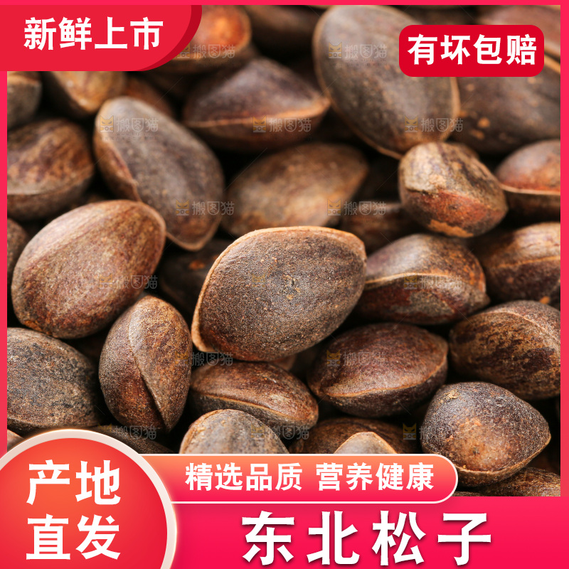 深底上的新鲜松子