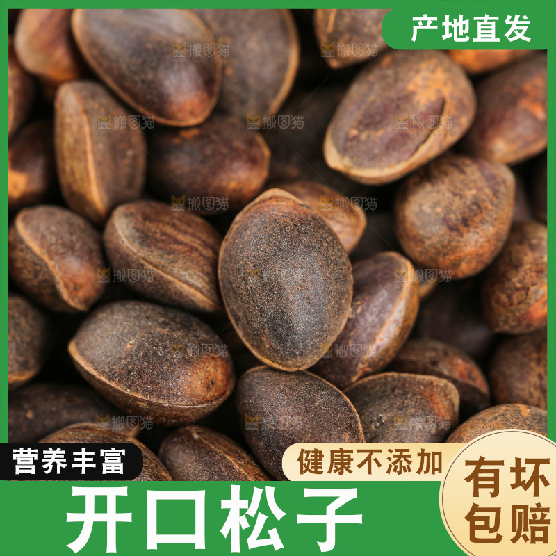 深底上的新鲜松子