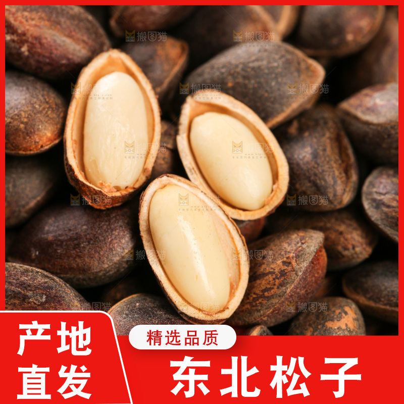 深底上的新鲜松子