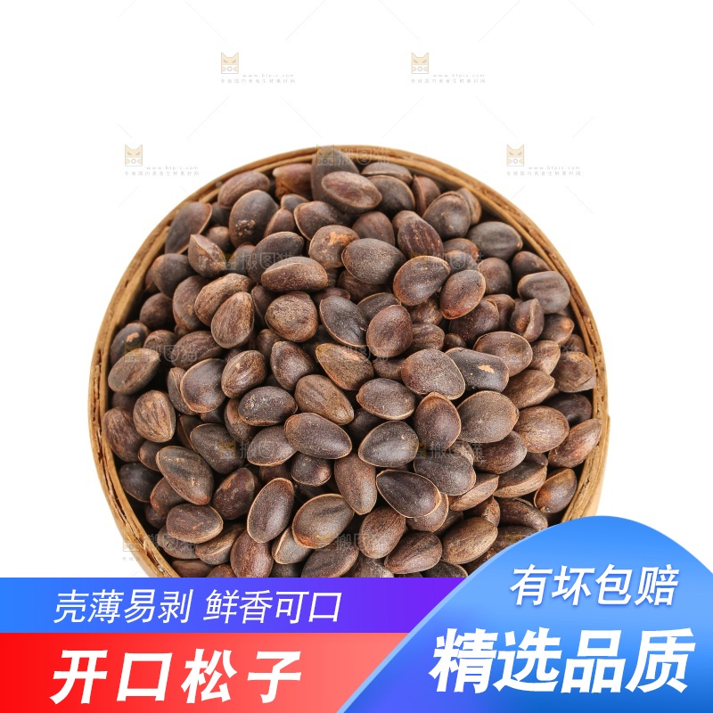 白底上的新鲜松子