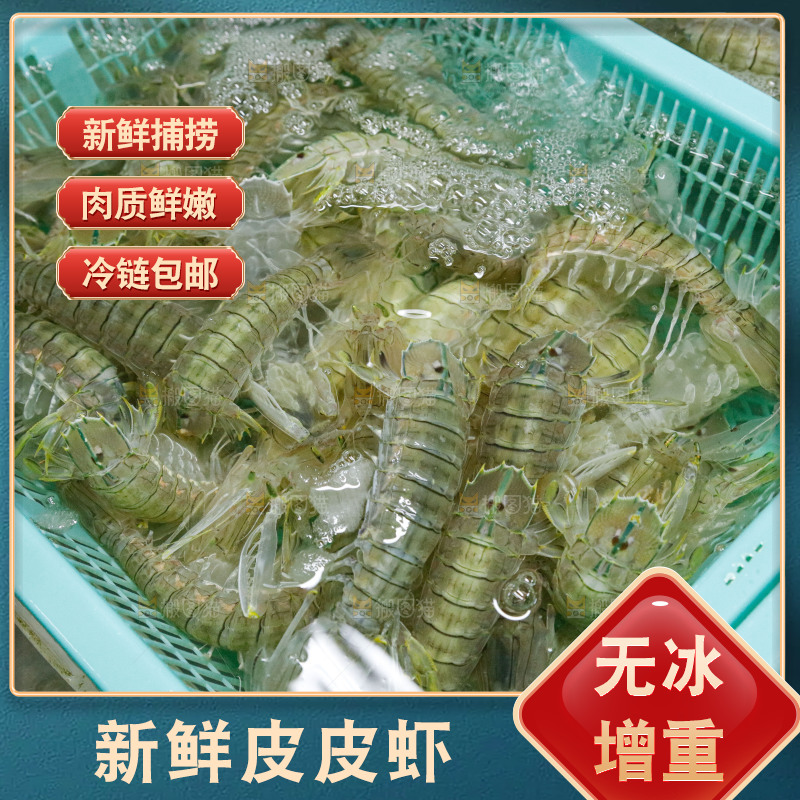 皮皮虾海鲜 海产品
