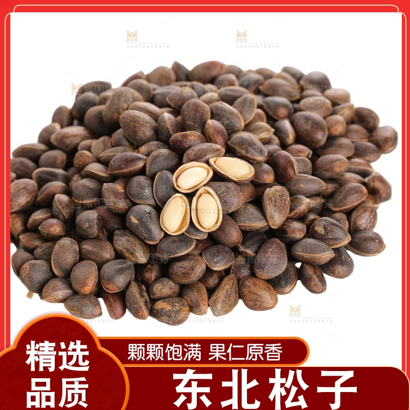 白底上的新鲜松子