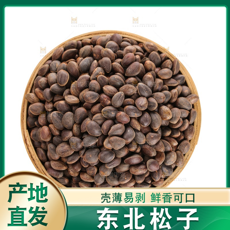 白底上的新鲜松子