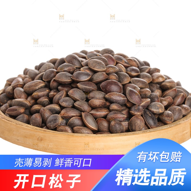 白底上的新鲜松子