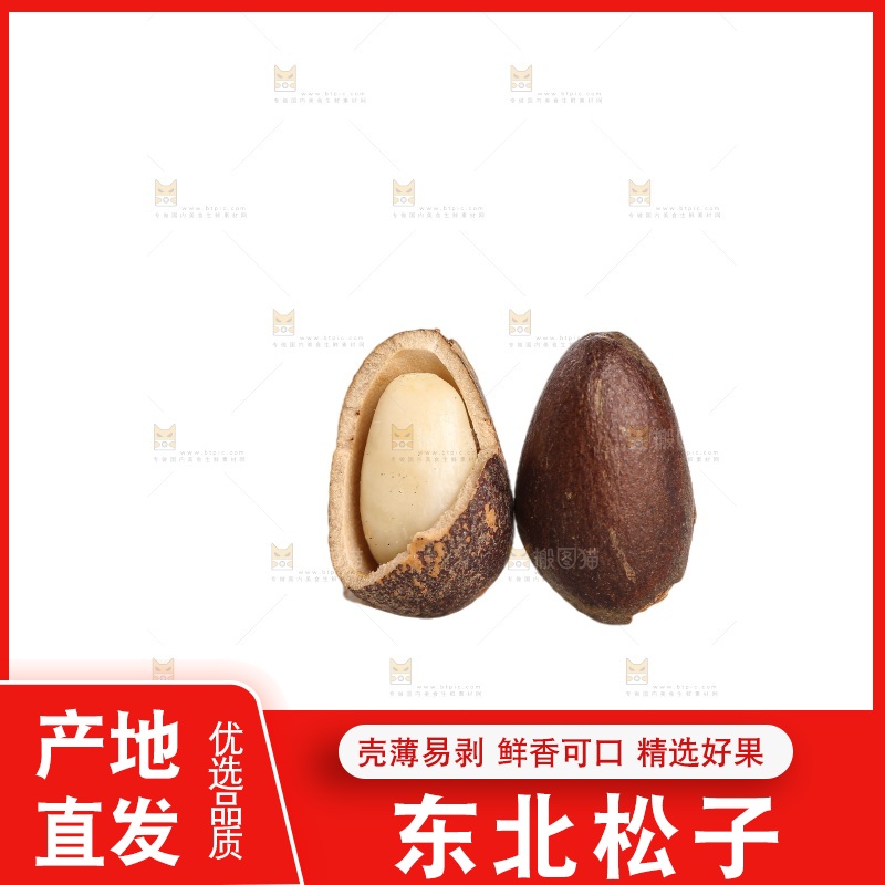 白底上的新鲜松子