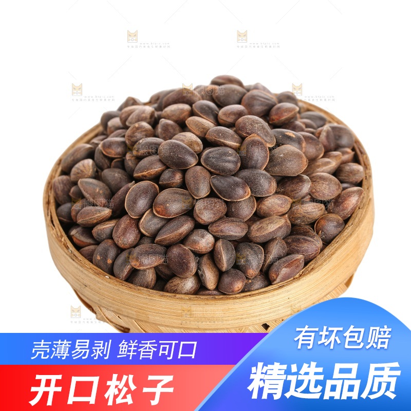 白底上的新鲜松子
