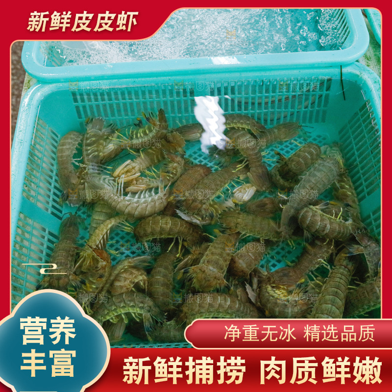 皮皮虾海鲜 海产品
