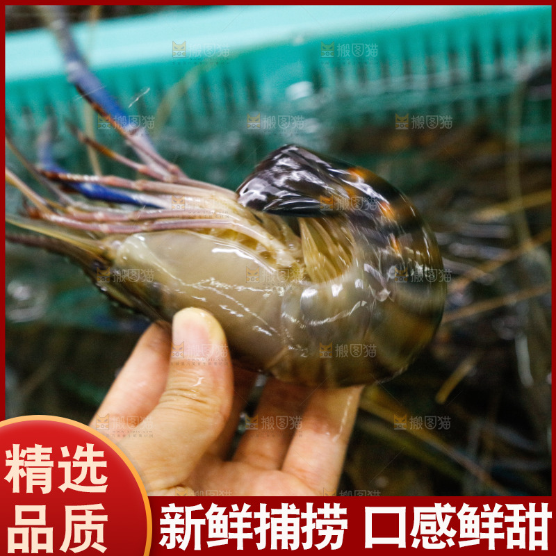 海鲜市场罗氏虾
