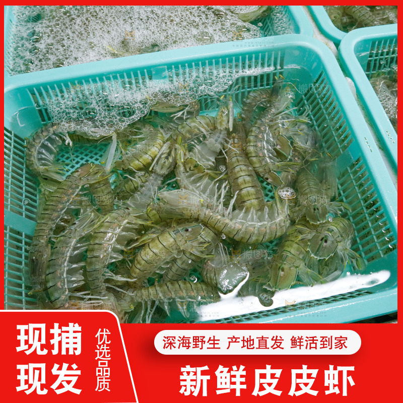 皮皮虾海鲜 海产品